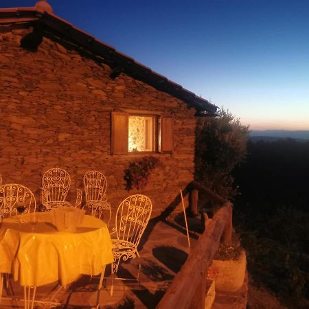 Casa Da Vinha Em Tabuaco - Douro Villa Kültér fotó