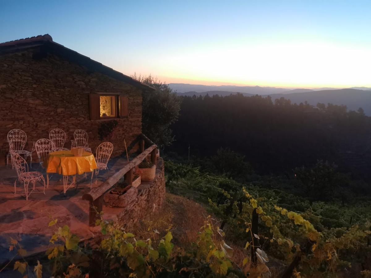 Casa Da Vinha Em Tabuaco - Douro Villa Kültér fotó
