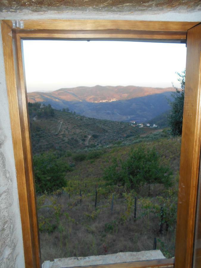 Casa Da Vinha Em Tabuaco - Douro Villa Kültér fotó