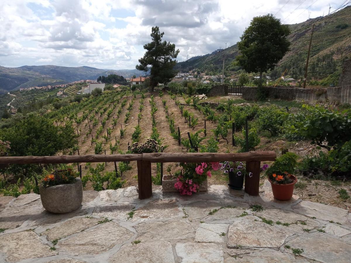 Casa Da Vinha Em Tabuaco - Douro Villa Kültér fotó
