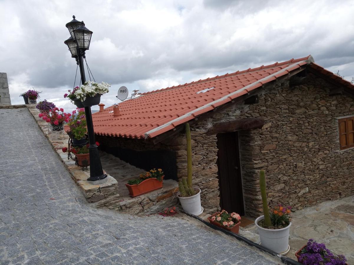 Casa Da Vinha Em Tabuaco - Douro Villa Kültér fotó